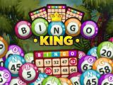 Play Bingo king