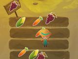 Play Sunny's farm