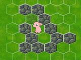 Play Block the pig