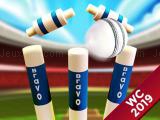 Play Cricket world cup game 2019 mini ground cricke