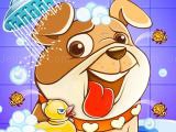 Play Animal daycare pet vet now
