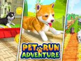 Play Pet run adventure puppy run now