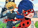 Play Ladybug differences now