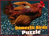 Play Domestic birds puzzle now