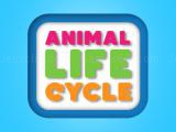 Play Animal life cycle now