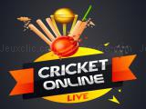 Play Cricket online