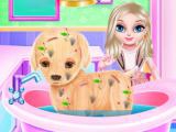 Play Baby elsa puppy surgery now