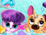 Play Cute pet friends now