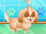 Play Cute puppy makeover