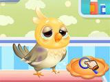 Play Cute animals emergency hospital