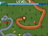 Play Forest slither snake