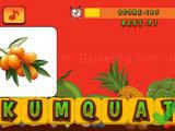 Play Fruits & vegetables word for kids