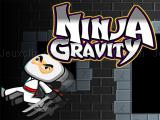 Play Ninja gravity now