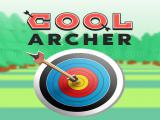 Play Cool archer