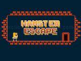 Play Hamster escape jailbreak