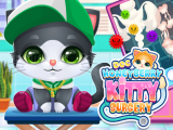 Play Doc honeyberry kitty surgery now