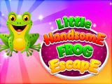 Play Little handsome frog escape now