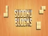 Play Sudoku blocks