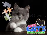 Play Cute cats jigsaw puzzle