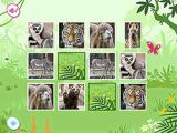 Play Story zoo