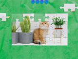 Play Cute cat's jigsaw puzzle