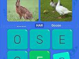 Play Word search: fun puzzle