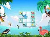 Play Jolly jong birds