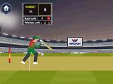 Play T20 cricket