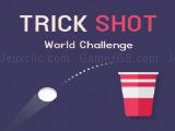Play Trick shot - world challenge