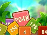 Play Tropical cubes 2048 now