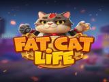 Play Fat cat life