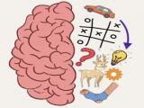 Play Brain puzzles-quests
