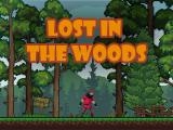 Play Lost in the woods