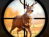 Play Wild hunting clash now