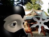Play Ninja academy now