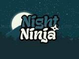 Play Night ninja now