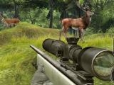 Play Sniper hunting deadly animal