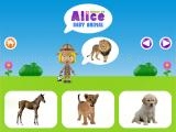 Play World of alice - baby animal