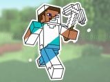 Play Minecraft coloring book online