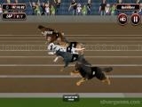 Play Crazy dog racing simulator games 3d