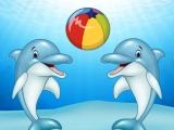 Play Dolphin show