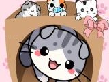 Play Cat condo
