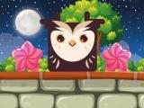 Play Owl block