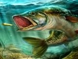 Play Ultimate fishing simulator