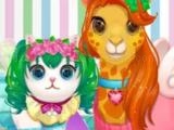 Play Funy pet haircut