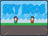 Play Sky bros