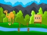 Play Rescue the hungry camel now