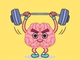 Play Perfect brain 3d puzzle