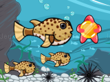 Play Run fish run