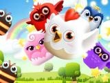 Play Crazy birdy
